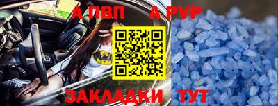 стаф Донской