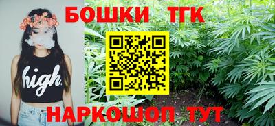 стаф Донской