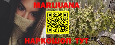 стаф Донской